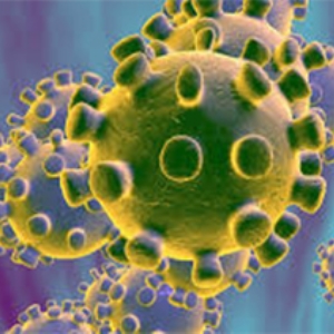 تقویت دستگاه ایمنی و رعایت نکات بهداشتی برای جلوگیری از ابتلا به ویروس کرونا